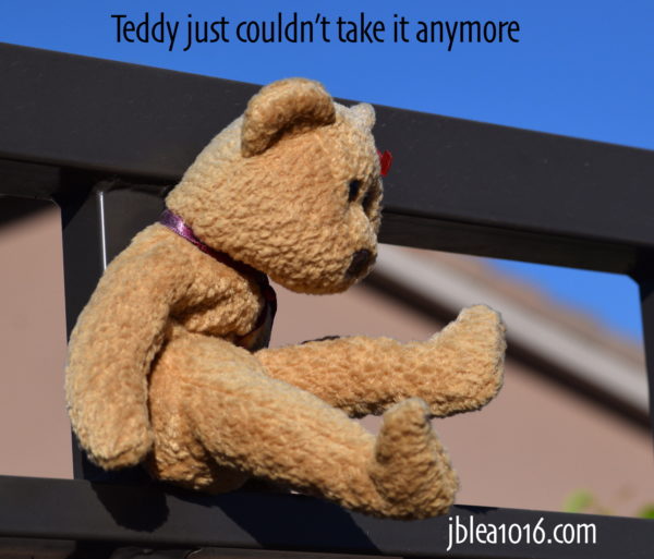 Teddy bear hanging from fence