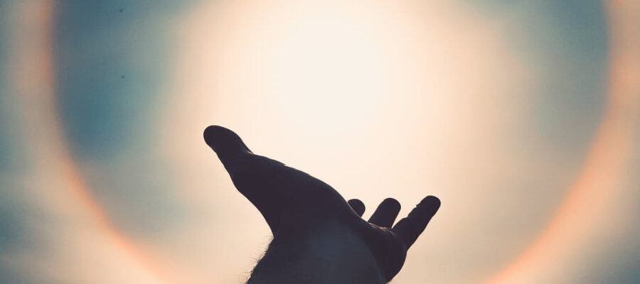 left human hand photo