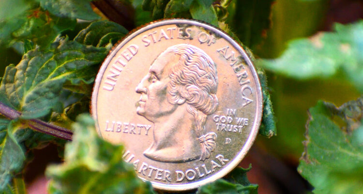 One-sided coin