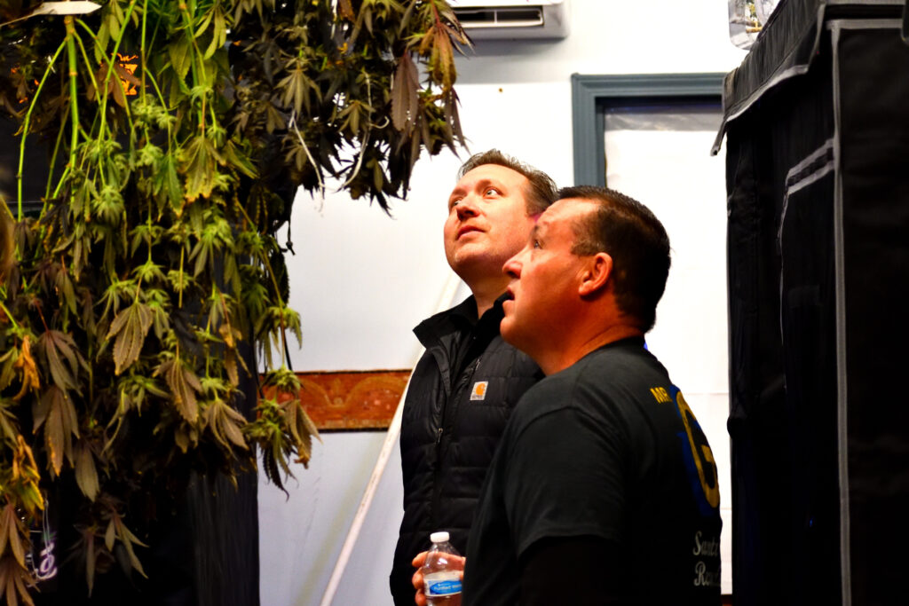 Drying and curing cannabis inspected